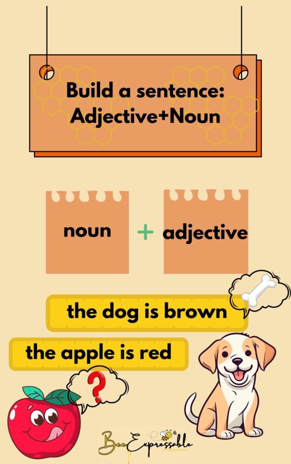 Build a sentence Adjective+Noun