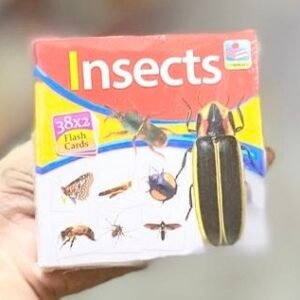 Insects Mini Flashcards
