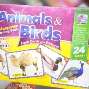 Animals & Birds - Jumbo Flashcards