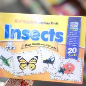 Insects - Jumbo Flashcards