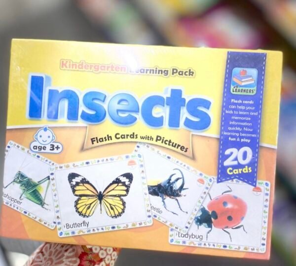 Insects - Jumbo Flashcards